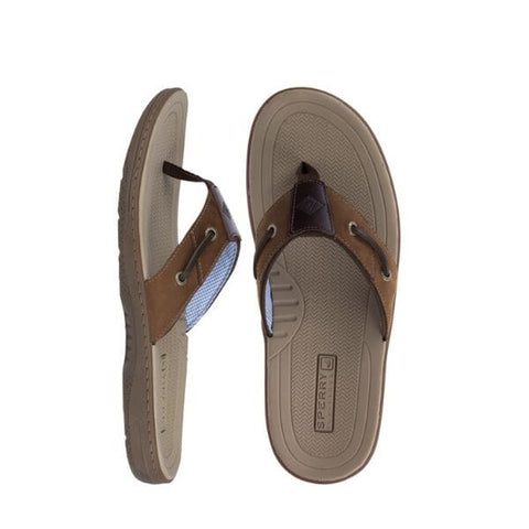 Baitfish Thong - Brown Slides Sperry 