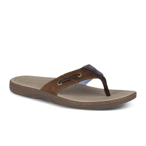 Baitfish Thong - Brown Slides Sperry 