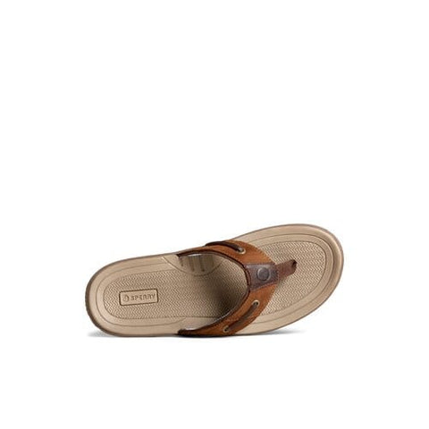 Baitfish Thong - Mens - Brown Thongs Sperry