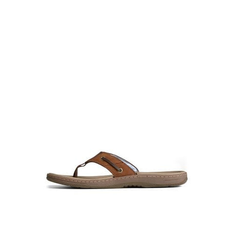 Baitfish Thong - Mens - Brown Thongs Sperry
