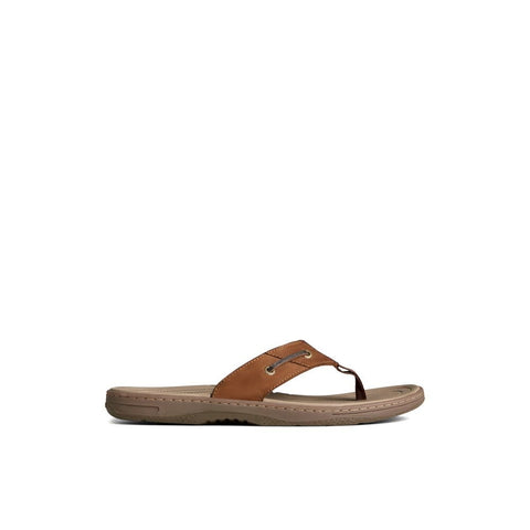 Baitfish Thong - Mens - Brown Thongs Sperry