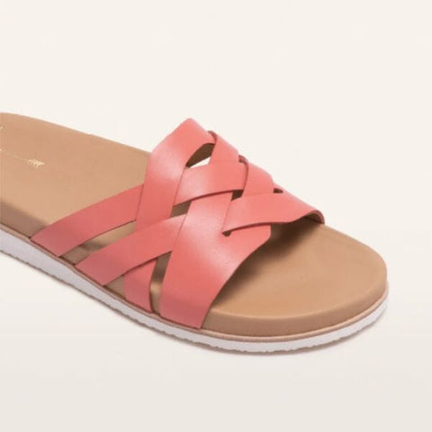 Holly - Coral Slides Frankie4