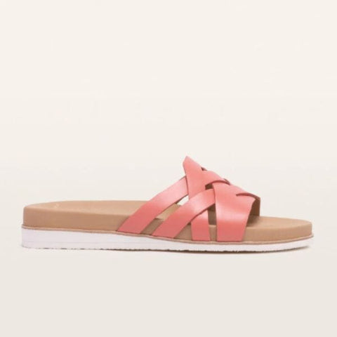 Holly - Coral Slides Frankie4