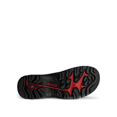 Offroad Shoe - Mens - Black/Black Athletic ECCO