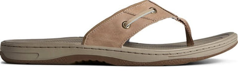 Baitfish Thong - Taupe Slides Sperry 