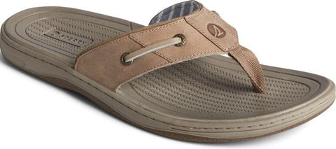 Baitfish Thong - Taupe Slides Sperry 