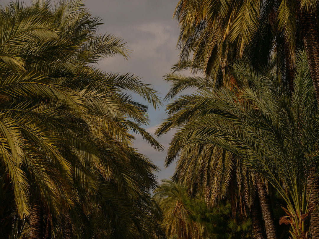 MEPHISTO SIZE CHART FeetFirstFootwear