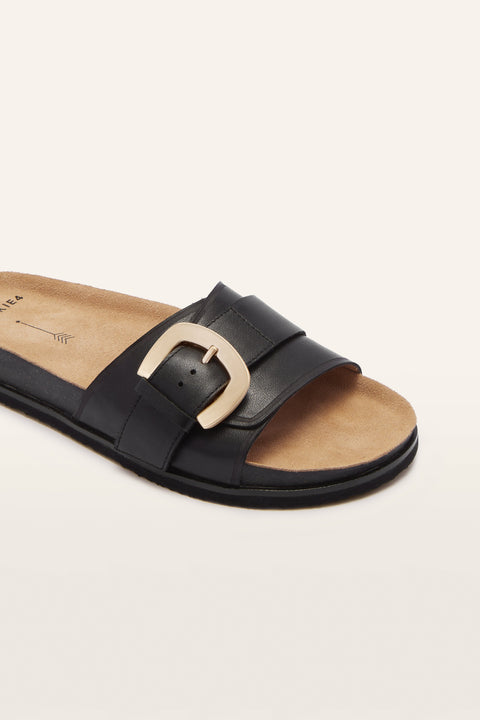 Monterey - Womens - Black Slides Frankie4 
