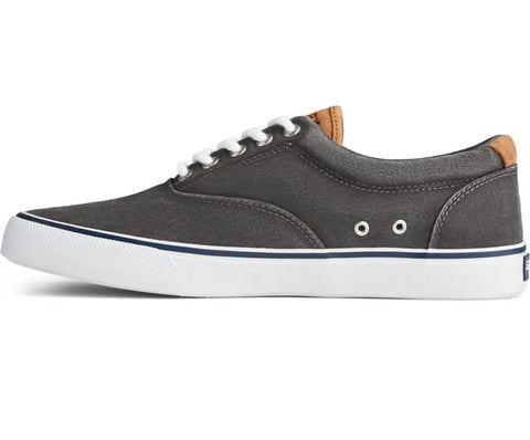 Striper II CVO Washed Canvas - Black Boat Sperry 